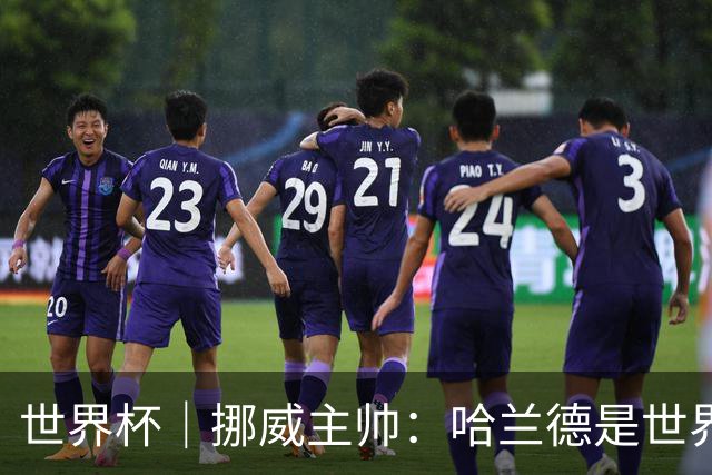 世界杯｜挪威主帅：哈兰德是世界上最好的射手
